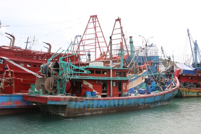 Verification of 43 Vietnamese fishermen captured in Solomon Islands