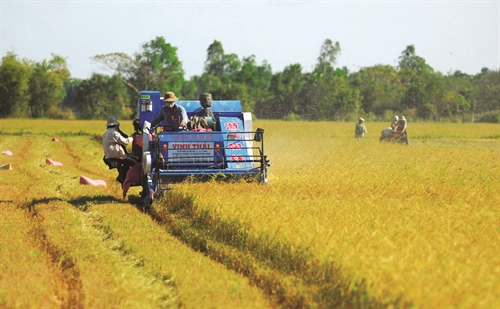 Khmer ethnic minority people assisted in boosting economic development