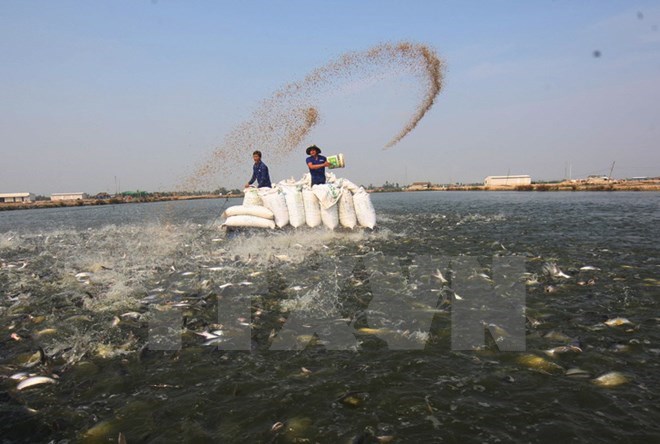 Low FDI in Mekong Delta attributed to poor infrastructure