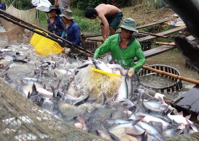 Aquatic export hits USD2 1 bln in four months
