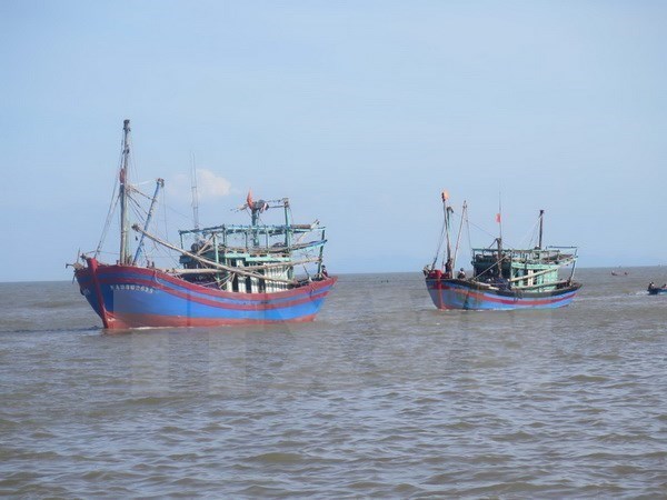 Vietnamese embassies protect Vietnamese citizens abroad