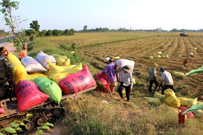 Land accumulation must benefit farmers Deputy PM