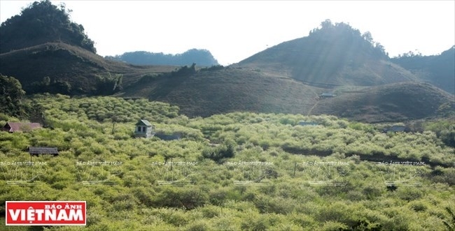 Tourism development prioritised in Son La