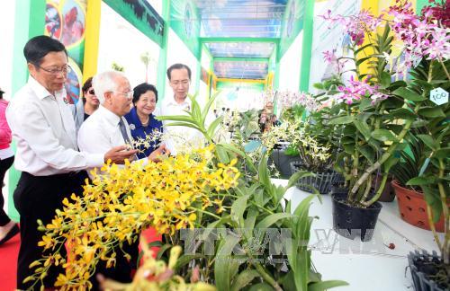 Ho Chi Minh city to host fifth agricultural breed exhibition in June