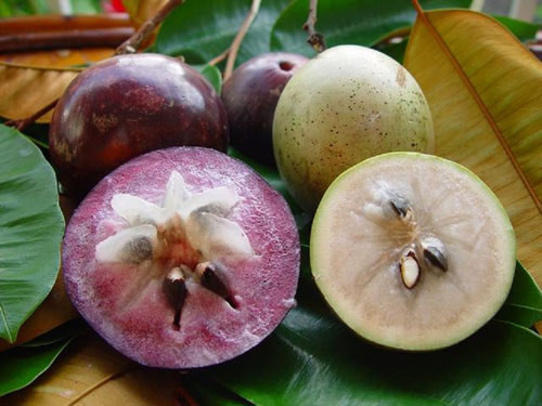 Star apples get visa to enter US market