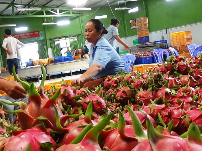 Thailand ships most fruits and vegetable to Vietnam in first quarter