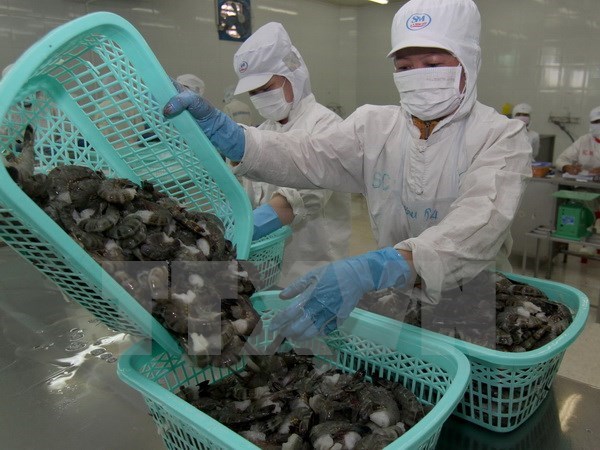 Vietnam urges Australia to remove ban on uncooked shrimp