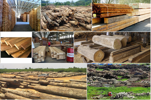 EU, Vietnam complete negotiations on combating illegal logging