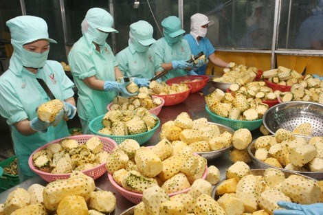 Fruit, vegetable exports hit USD1 38 billion in five months