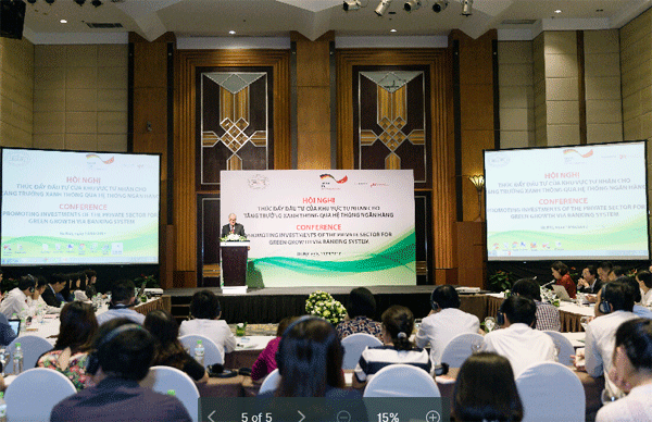 Promoting investment of private sector for green growth via banking system