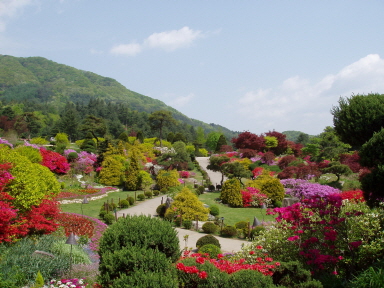 Korean province promotes tourism in Vietnam