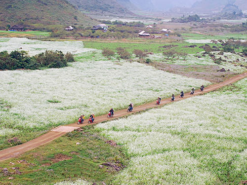 Moc Chau planned to be national tourism area