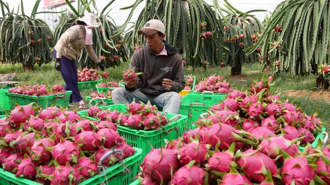 Fruit and vegetable exports bag USD1 billion