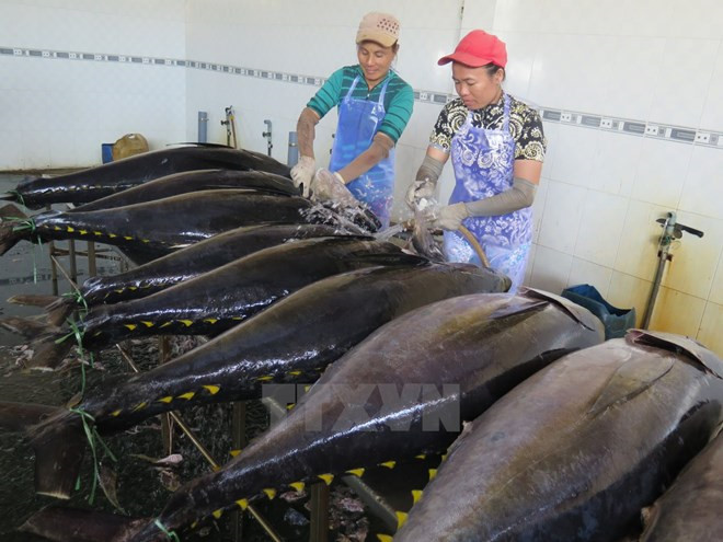 Vietnam’s tuna exported to over 138 countries