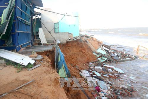 Ho Chi Minh city supports poor families in Binh Thuan province