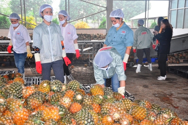 Fruit and vegetable exports rise 44 6 in first half