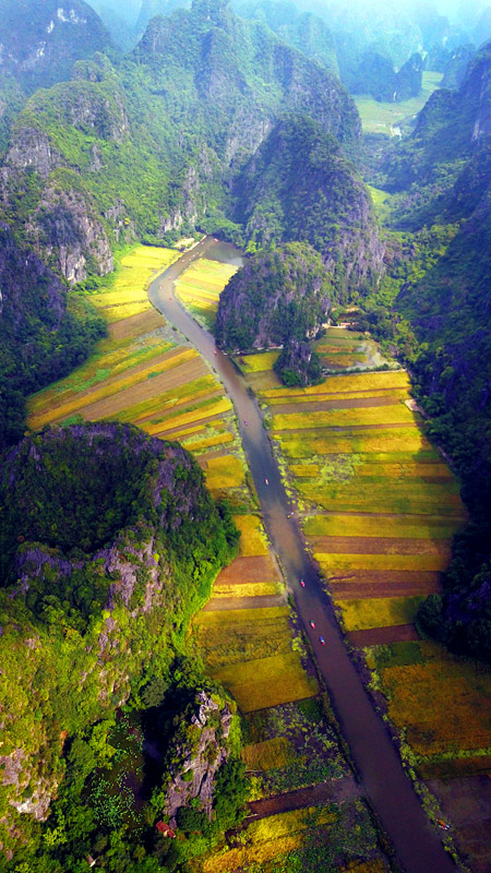 Beauty of Tam Coc in rice harvest season