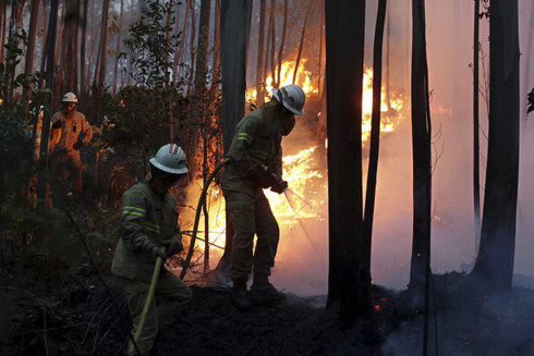 Massive forest fire in Portugal kills at least 62