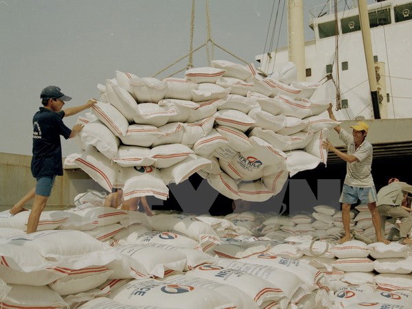 Rice prices increase in both domestic, foreign markets