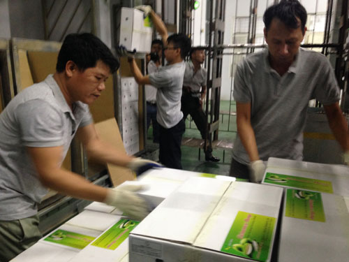 First Son La mango consignment to be shipped to Australia