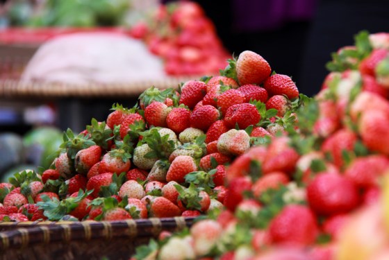 Agricultural products of Da Lat