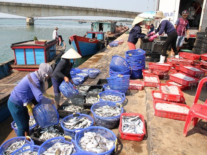 Exports of aquatic products estimated at USD4 3 billion