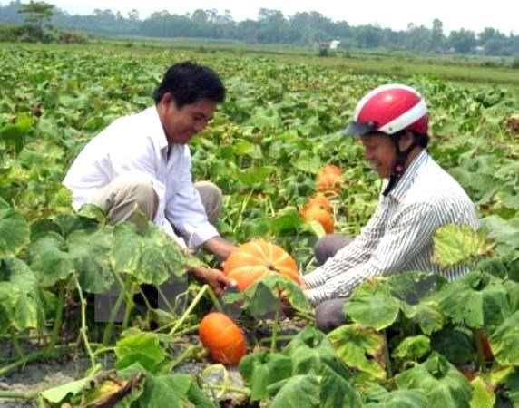 Agriculture sector targets USD33 billion from exports in 2017