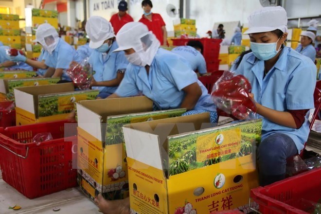 Consistent quality a must for RoK exports