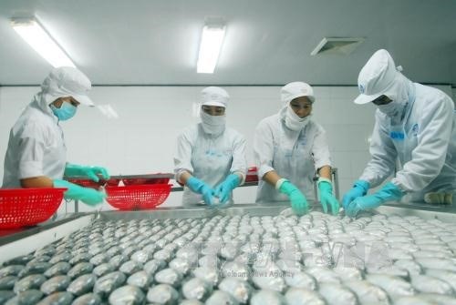 Vietnam promotes exports to Australia, New Zealand