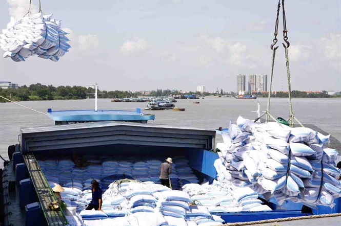 Vietnam wins bid to sell 175,000 tons of rice to Philippines