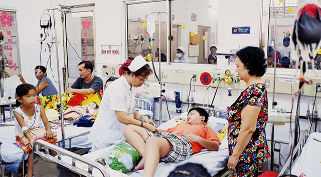 Ho Chi Minh city mobilizes all resources to fight dengue fever