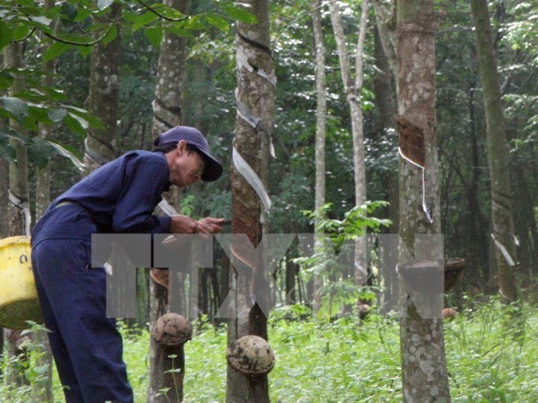Thailand promotes use of rubber
