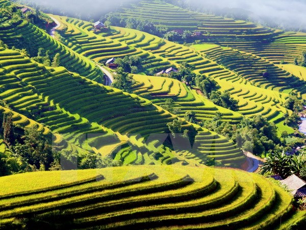 Promoting Vietnam s tourism in key markets