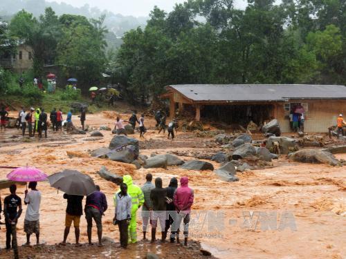 Over 300 killed due to landslide in Sierra Leone