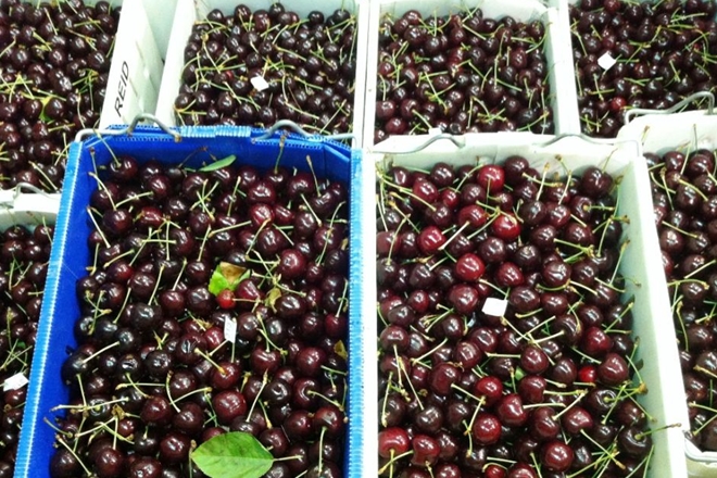 Cherries top sweet horticulture trade with Vietnam