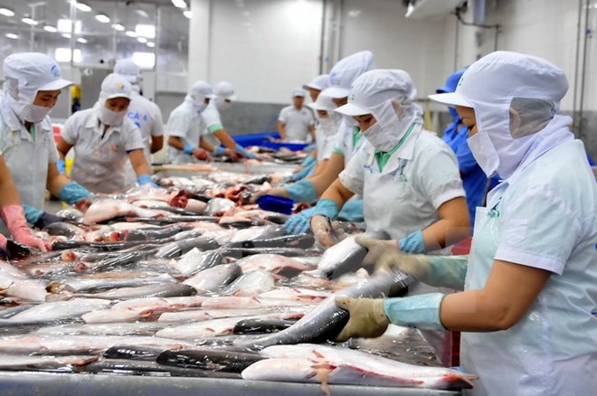2017 seafood export likely to hit USD8 billion