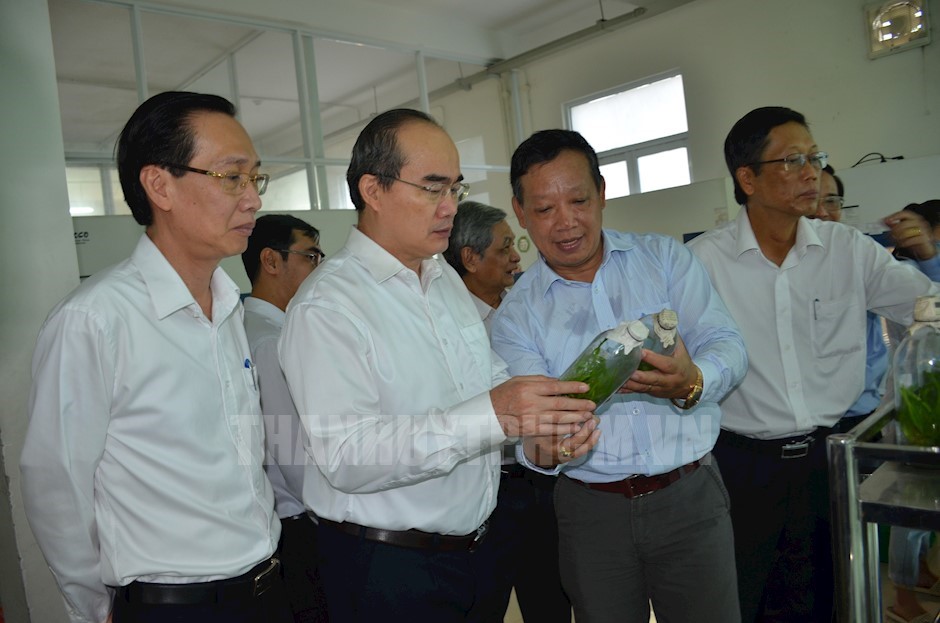 Ho Chi Minh city strives to be agricultural bio-tech centre