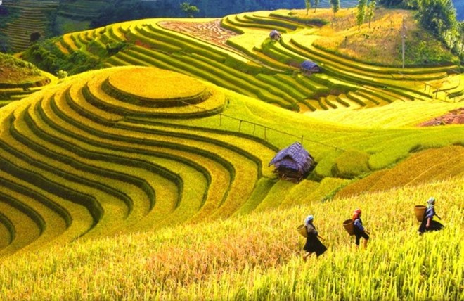 Vietnam named among 20 most beautiful countries