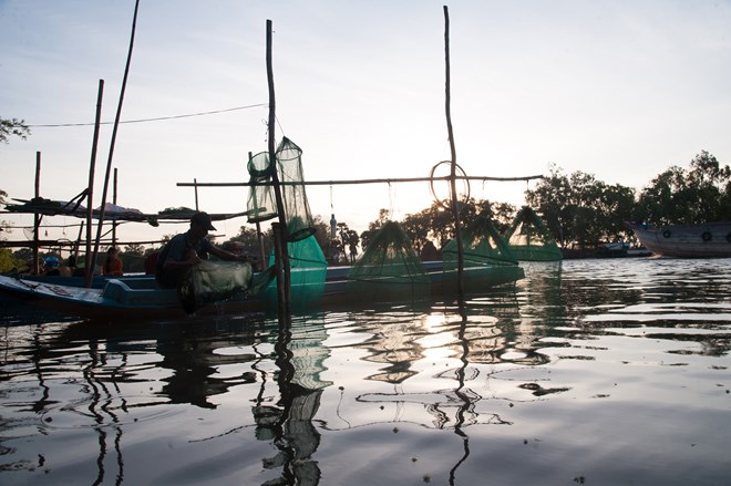 Aquatic products expected to rake in USD9 billion by 2020