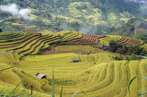 Natural beauty in highlands district