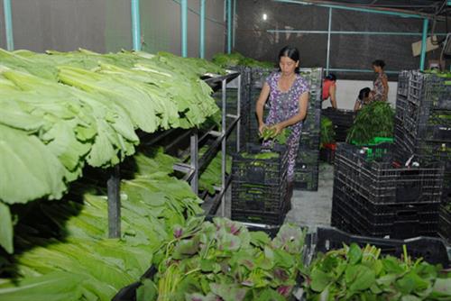 Ho Chi Minh city gives preferential loans to over 1 3 million poor families