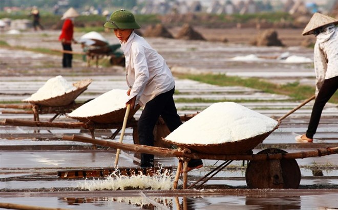 Salt price increases, middlemen benefit