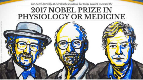 2017 Nobel Prize in Physiology or Medicine goes to three US citizens