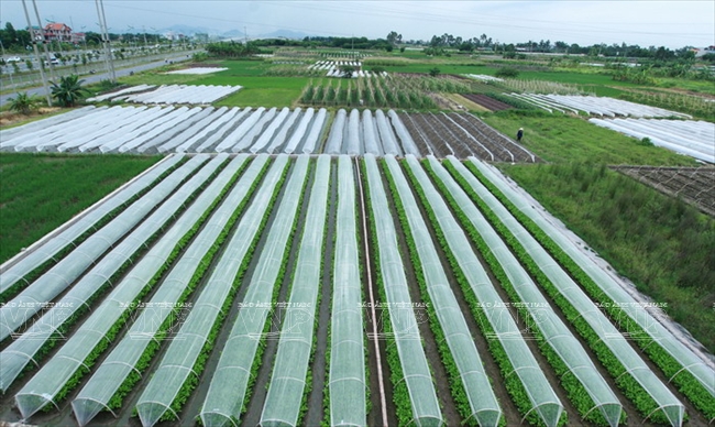 Hoai Duc recognized as new-style rural area