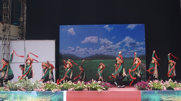 Diverse activities at Green Heritage Culture Tourism Week
