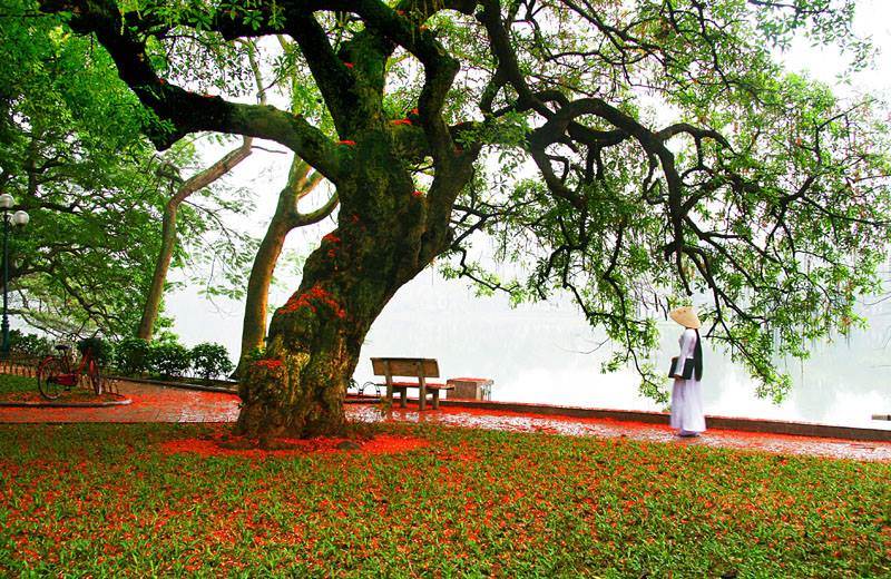 Photos of different regions in Vietnam on display in Hanoi