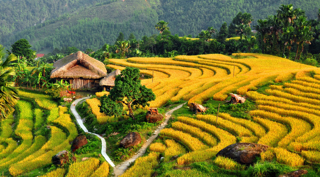 Vietnam’s terraced fields on list of unbelievable landscapes