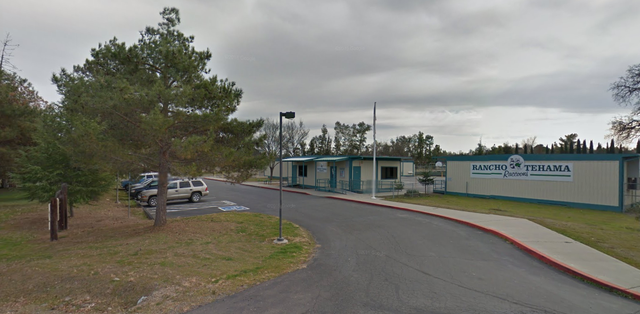 At least five die in California shootings