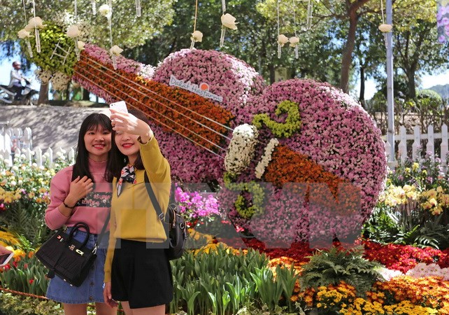 Numerous programs to be held within 2017 Da Lat Flower Festival