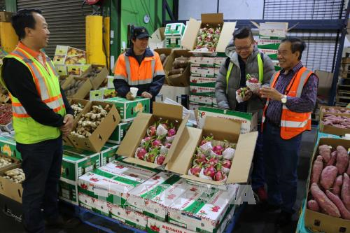 Workshop seeks to enhance exports of Vietnam agri-products